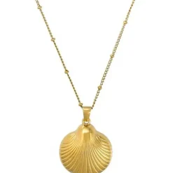 Kette - Elegant Shell