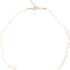 Kette - Real Shells