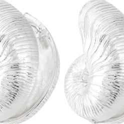 Ohrstecker - Silver Shells