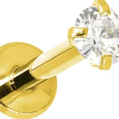 Piercing - Classic Golden